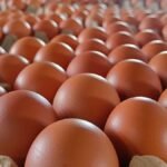 Gambar berita Katasulsel