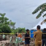 Gambar berita Katasulsel