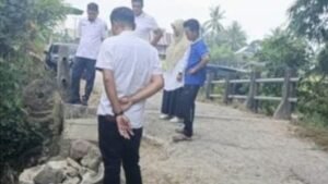 Petani Sidrap Tetap Panen, Jembatan Rusak Diperbaiki Syaharuddin Alrif