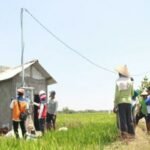 Gambar berita Katasulsel