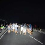 Gambar berita Katasulsel