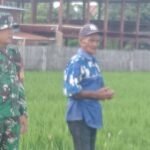 Gambar berita Katasulsel