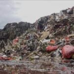 Gambar berita Katasulsel