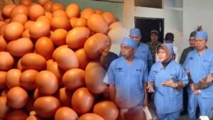 Kepala BPS RI Amalia Widyasanti Geleng Kepala Saat Bupati Lepas Telur Rp3,8 Miliar di Sidrap