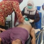 Gambar berita Katasulsel