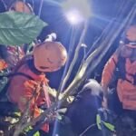 Gambar berita Katasulsel