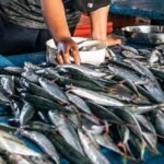 Gambar berita Katasulsel