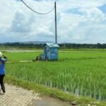 Gambar berita Katasulsel