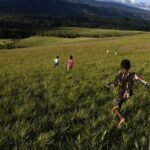 Gambar berita Katasulsel