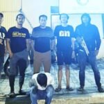 Gambar berita Katasulsel