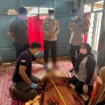 Gambar berita Katasulsel