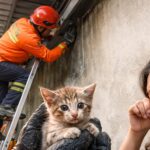 Gambar berita Katasulsel