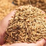 Gambar berita Katasulsel