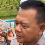 Berita terkait