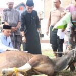Berita terkait