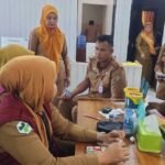 Berita terkait