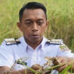 Berita terkait