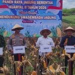 Berita terkait