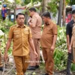 Berita terkait