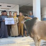 Berita terkait