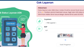 Cara cek penetapan NIP/NIK PPPK dan CPNS di Mola BKN(Dok. BKN)