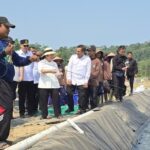 Berita terkait