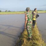 Berita terkait