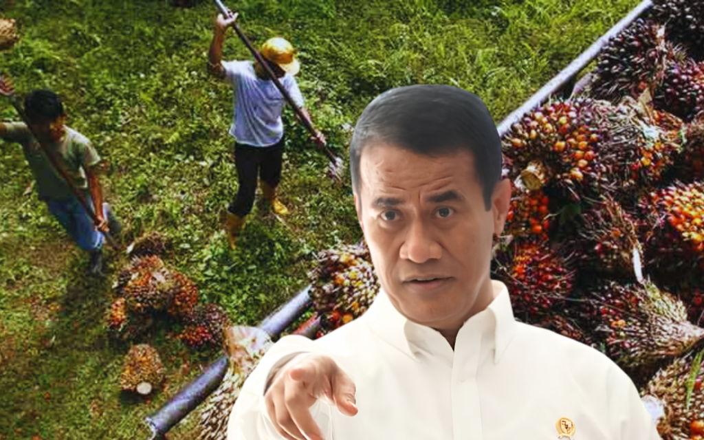 Harga Sawit Tak Masuk Akal, Mentan Amran Laporkan Dugaan Permainan ke Presiden