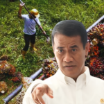 Harga Sawit Tak Masuk Akal, Mentan Amran Laporkan Dugaan Permainan ke Presiden