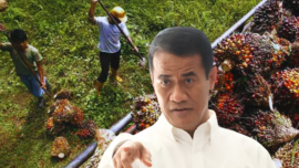 Harga Sawit Tak Masuk Akal, Mentan Amran Laporkan Dugaan Permainan ke Presiden