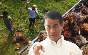 Harga Sawit Tak Masuk Akal, Mentan Amran Laporkan Dugaan Permainan ke Presiden