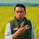 Berita terkait