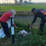 Berita terkait