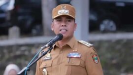 Bupati Wajo Andi Rosman