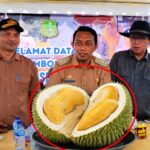 Berita terkait