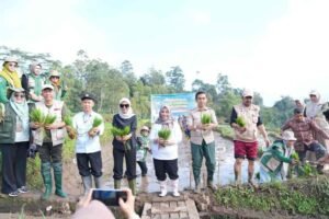 Sinjai Tak Mau Ketinggalan! 2.260 Hektare Sawah Langsung Digas dalam Gerakan Tanam Serentak Nasional