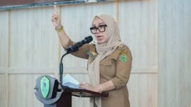 Bupati Barru Andi Ina Kartika Sari