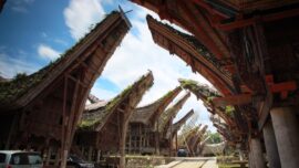 Rumah Adat Tongkonan