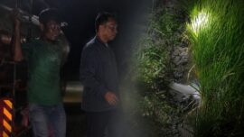 Tangkapan layar kondisi sawah milik petani bernama Lahere di Desa Allakuang, Sidrap, setelah armada Damkar menyuplai air atas instruksi Bupati Syaharuddin Alrif. (Ist)