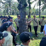 Berita terkait