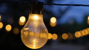 Di Balik Pertemuan PLN dan Bupati Wajo, Ada Satu Pesan Penting: Listrik Kini Bukan Lagi Sekadar Lampu Menyala