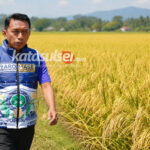 Berita terkait
