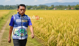 Sawah Jantung Sidrap, Jalan Itu Adalah Pembuluh Darahnya