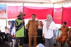 Kemarau Bersahabat di Sidrap, Sawah Tetap Panen Berkat Listrik Masuk Sawah