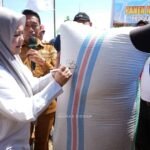 Berita terkait