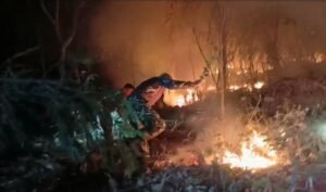 Kebakaran Hutan Sidrap Mulai Merambat ke Permukiman, TNI-Polri Berjibaku hingga Malam