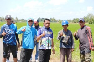 Bupati Sidrap Temukan Progres Jalan Signifikan dan Padi Tumbuh Baik Saat Tinjau Dua Pitue-Pitu Riawa