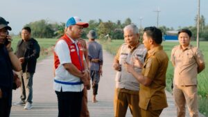 Sawah Sidrap Terancam Kekeringan, Ini Langkah yang Disiapkan Pemkab dan Pertamina