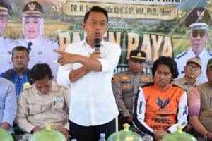 Bupati Syaharuddin Panen Raya di Sumpang Mango, Produktivitas Capai 10,7 Ton per Hektare