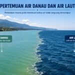 Berita terkait